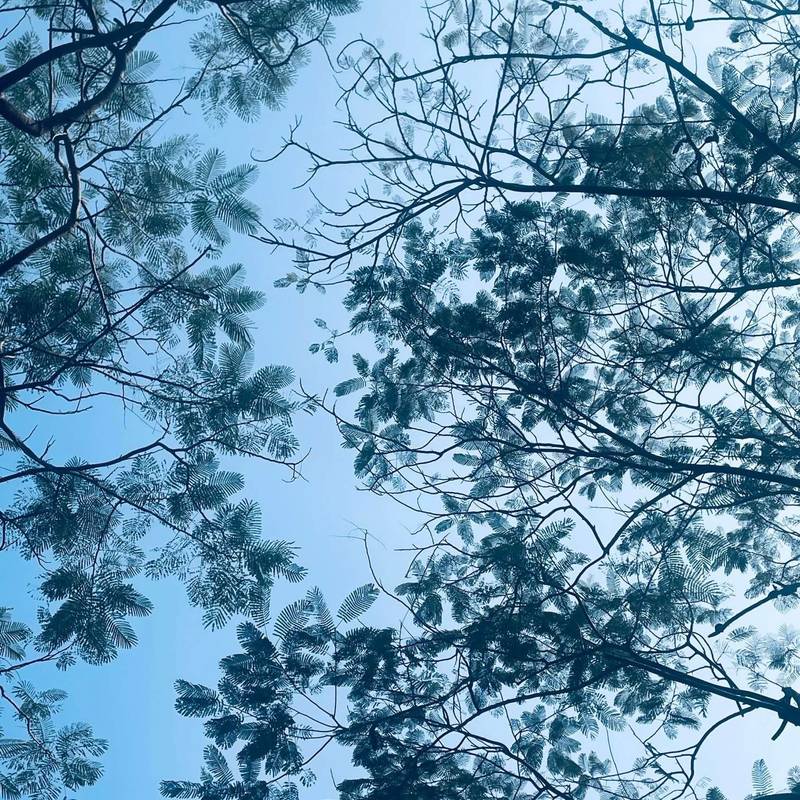 不要总是低头走路🚶偶尔抬头望望天空🌌_2