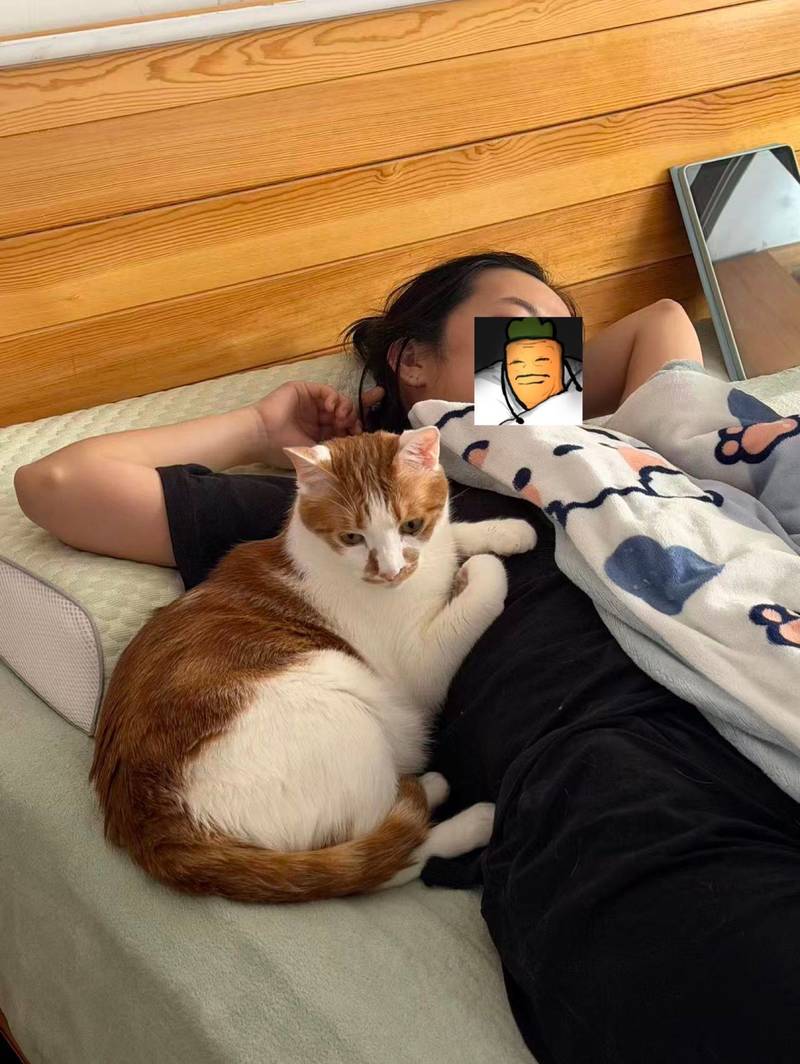 妈说咪不可以一直趴人身上