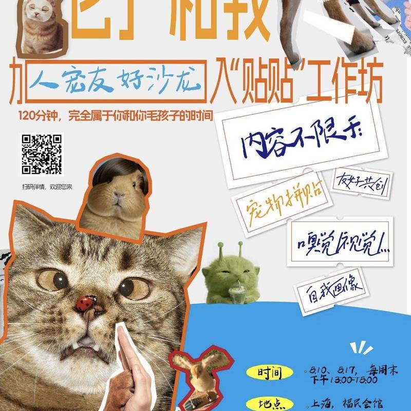 最新宠物工作坊招募|上海找8人聊8个小动物_1