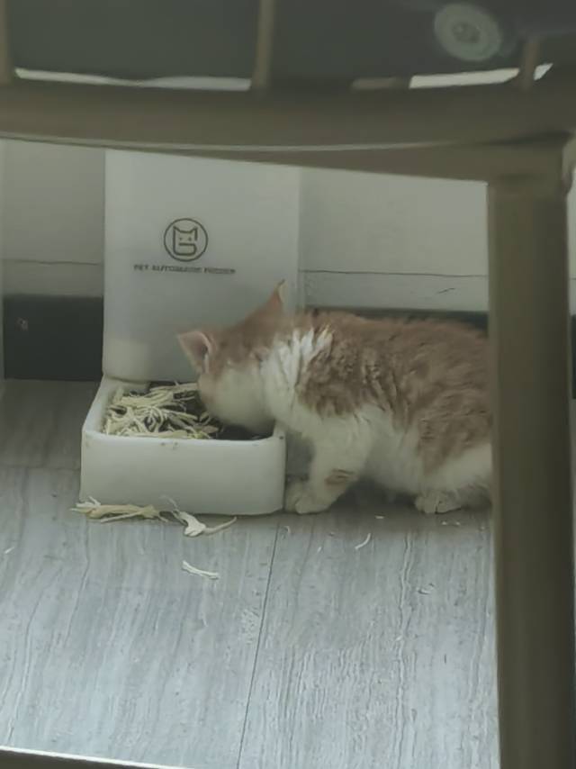 没有销声匿迹，我在热爱生活_2