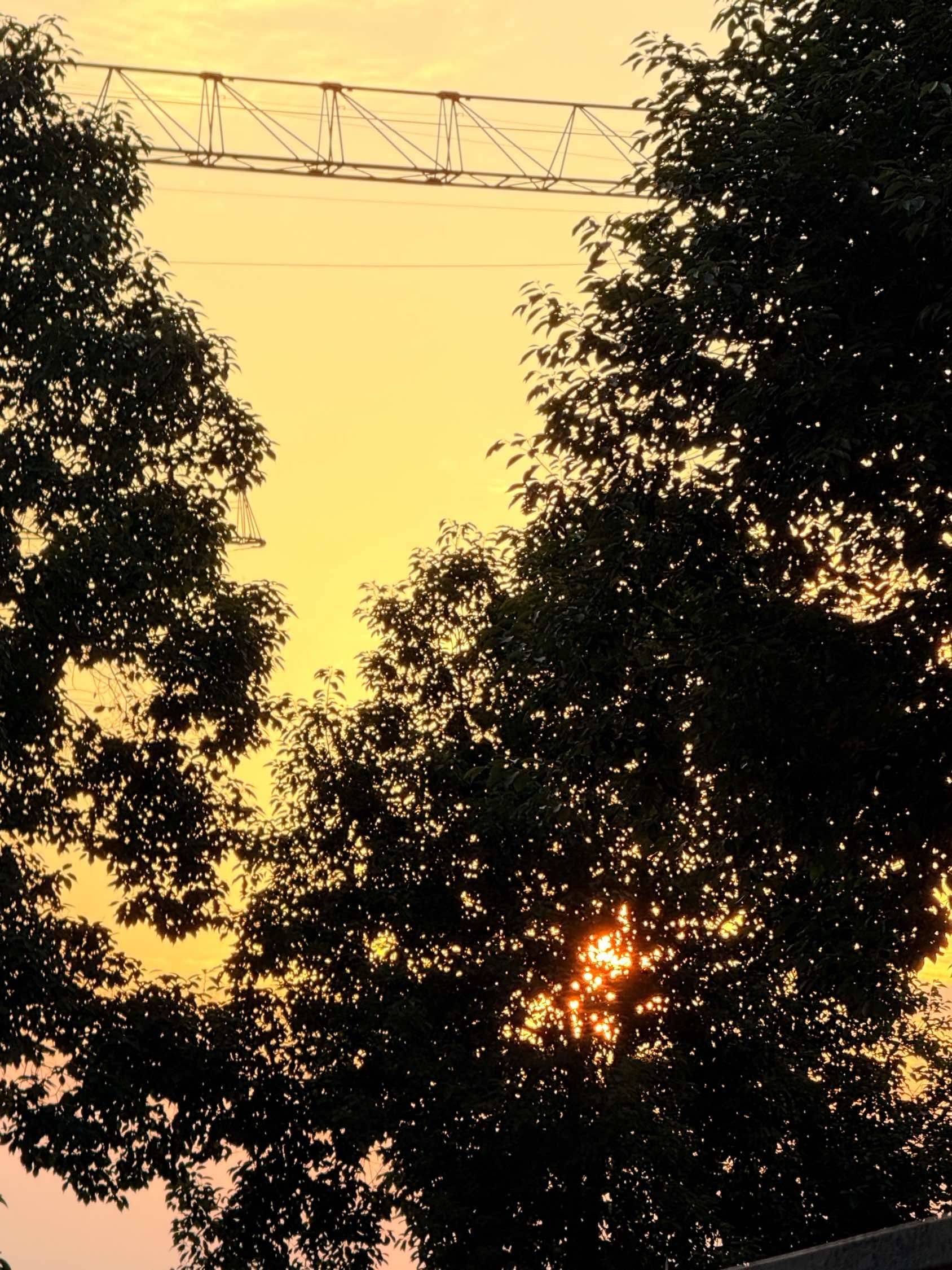夏天