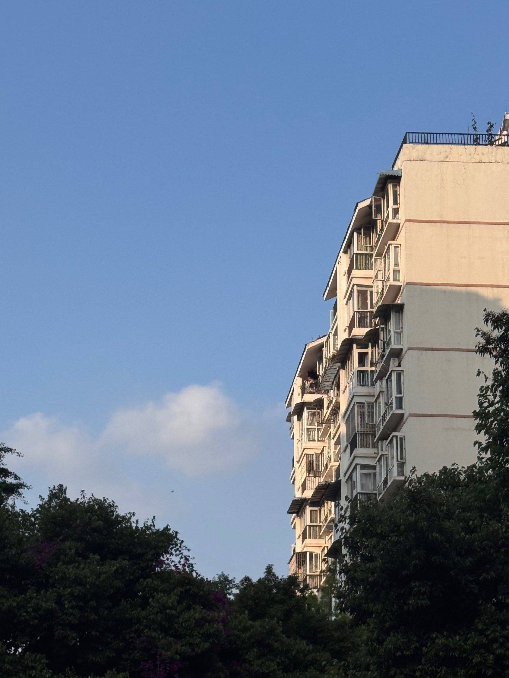 如沐春风 城市风光 