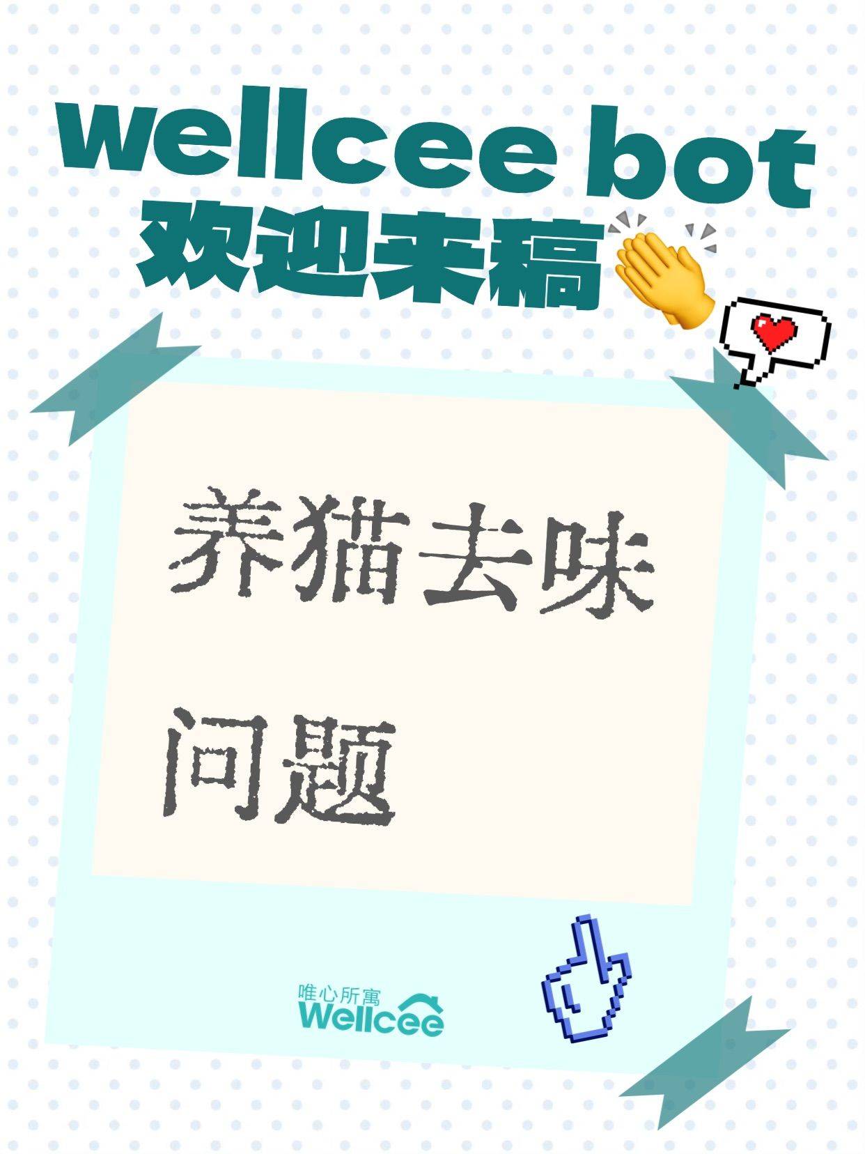 养猫怎么做到家里一点味道都没有？