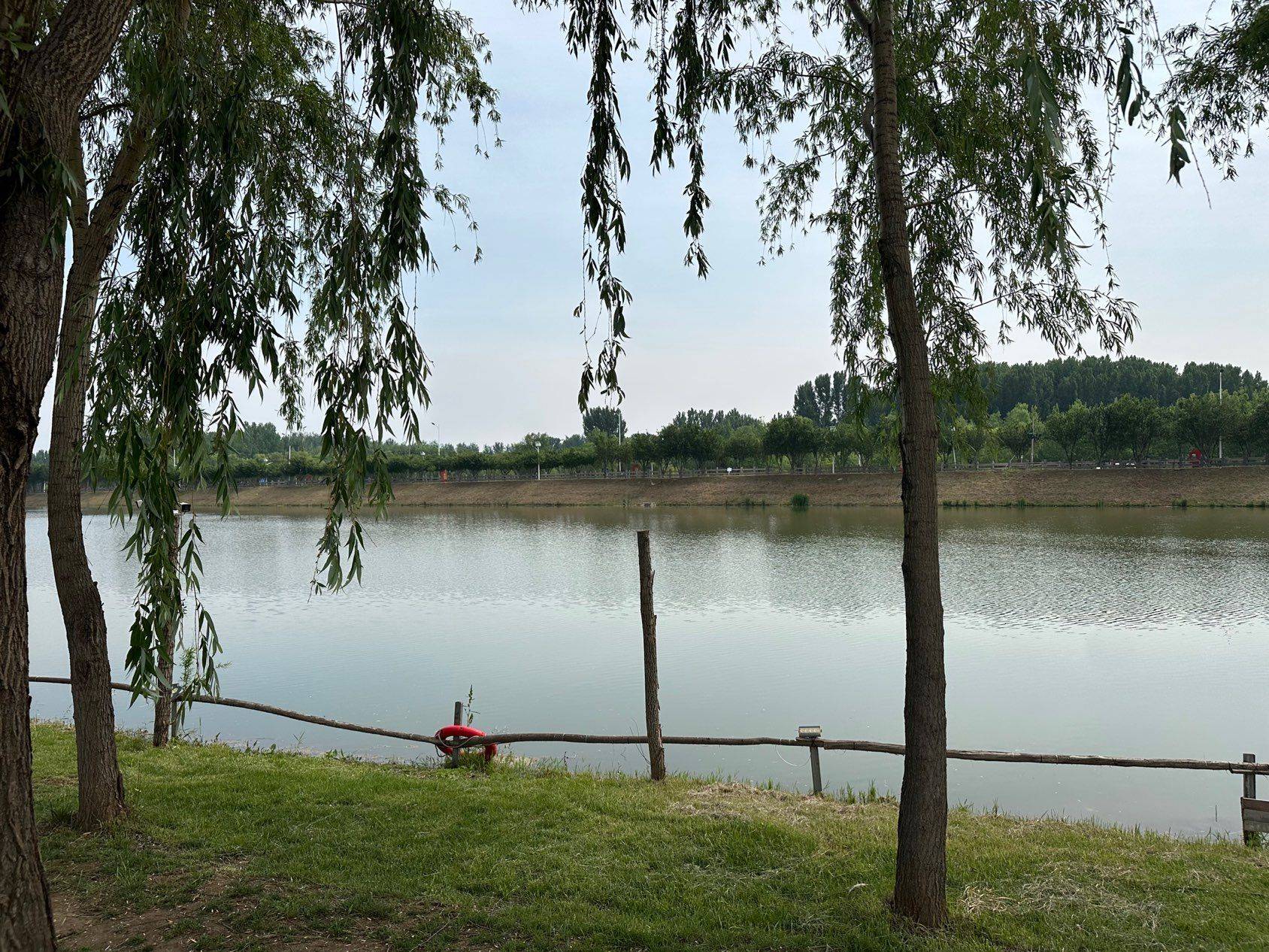 又是满足的一天 漫步大自然  湖边静