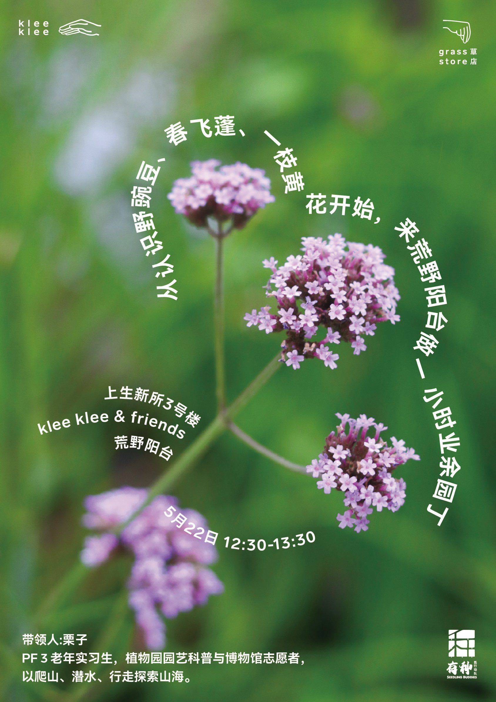 活动招募 | 来荒野阳台，做一小时业余园丁