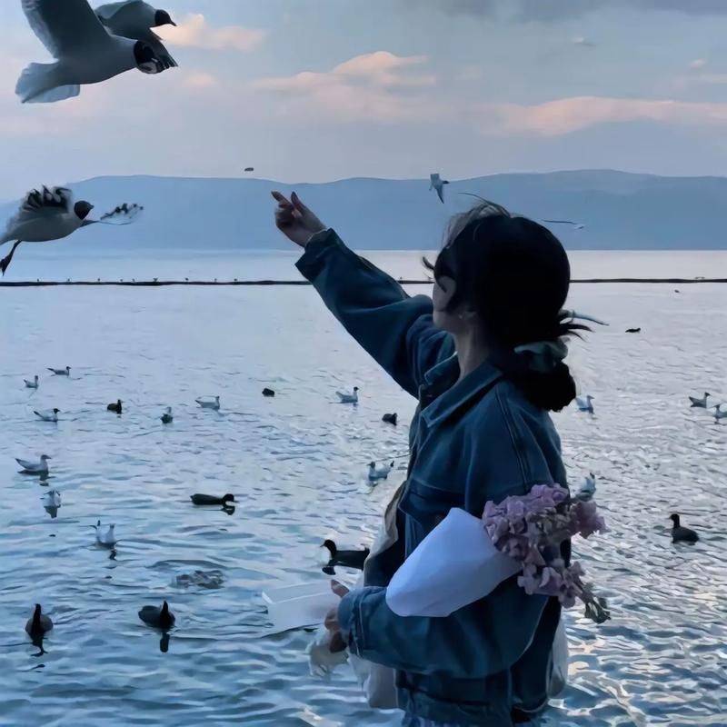爱海爱自由,爱自己