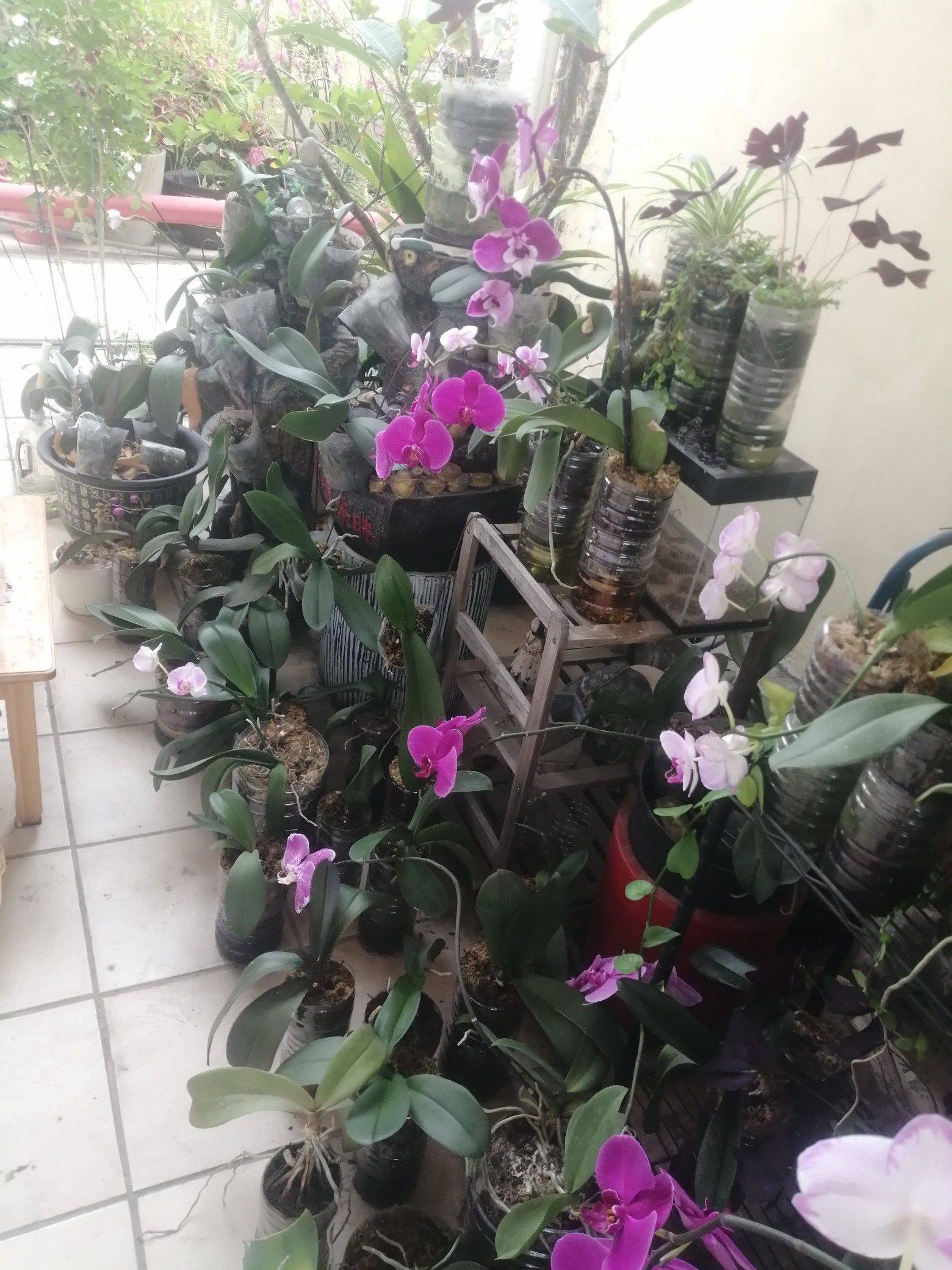 心中如有桃花源，何处不是彩云间