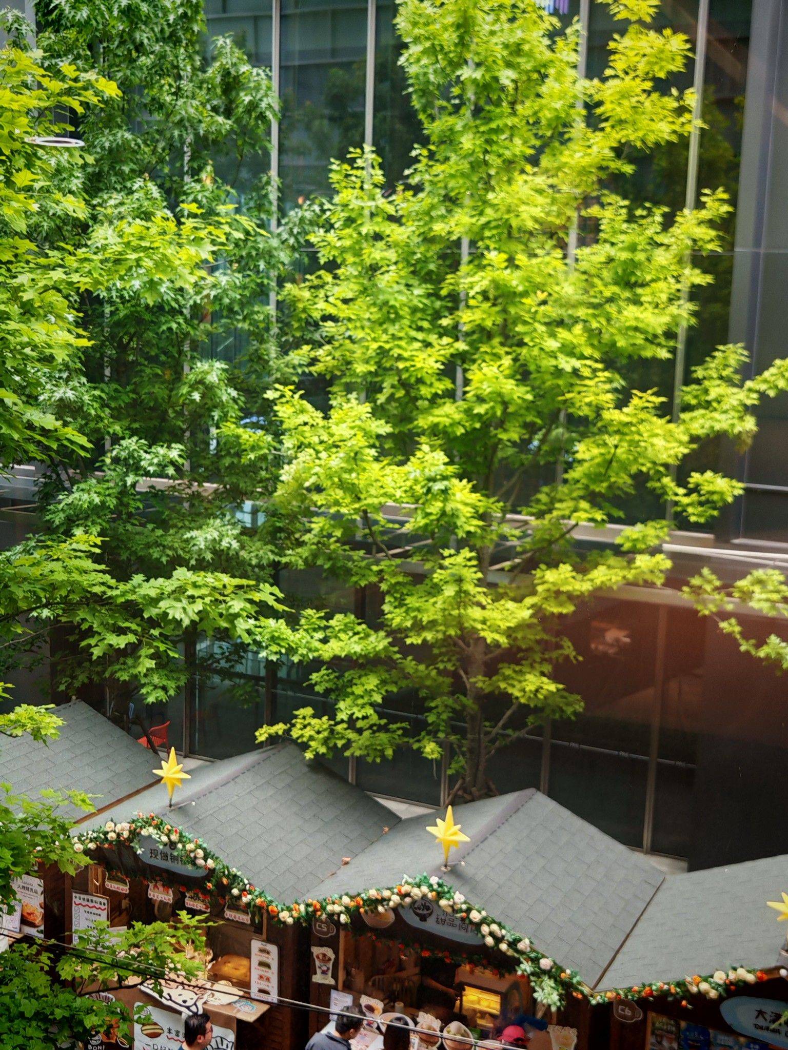 早餐 暴雨_4