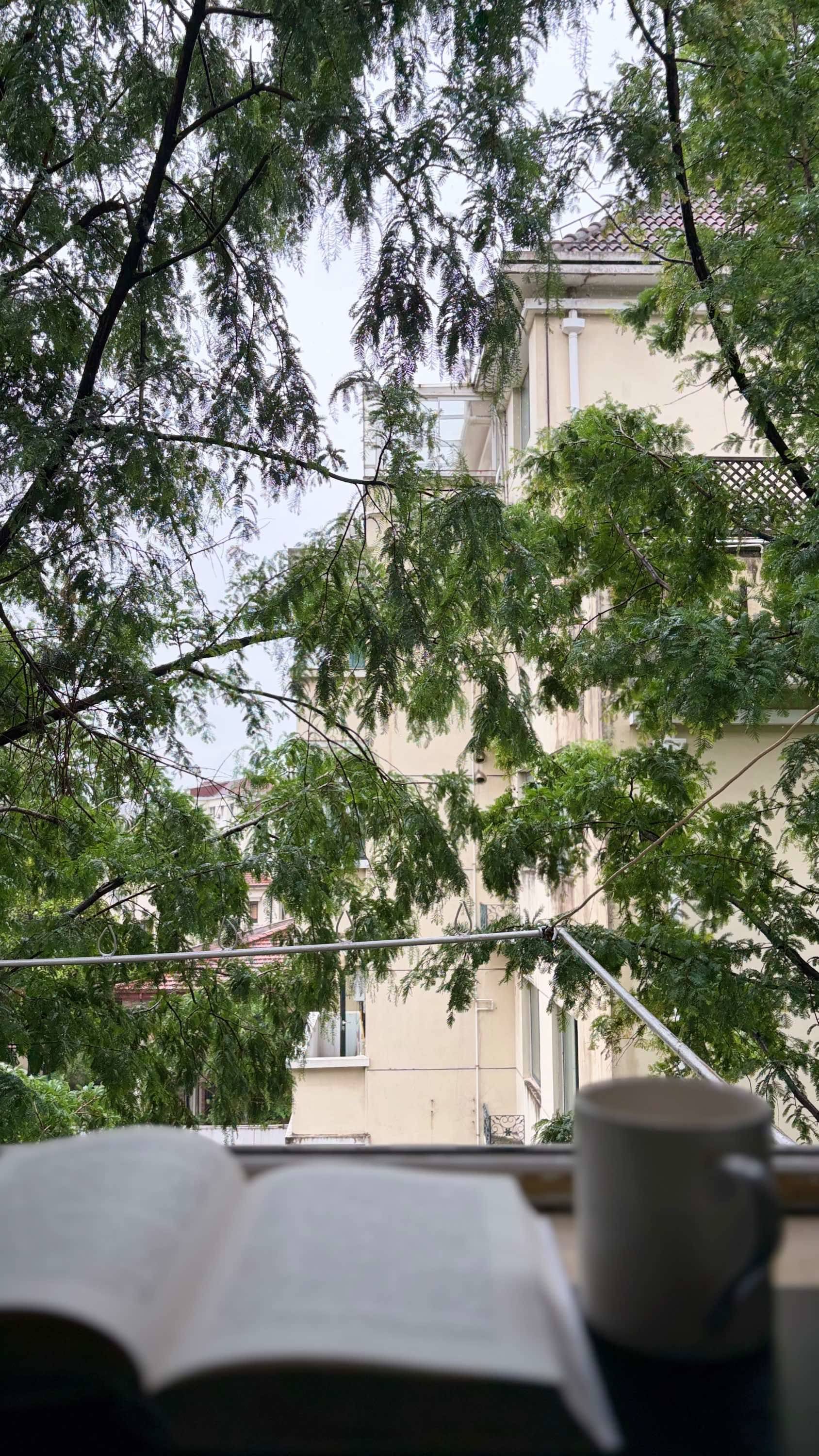 下雨天 窗外绿意  安静角落 