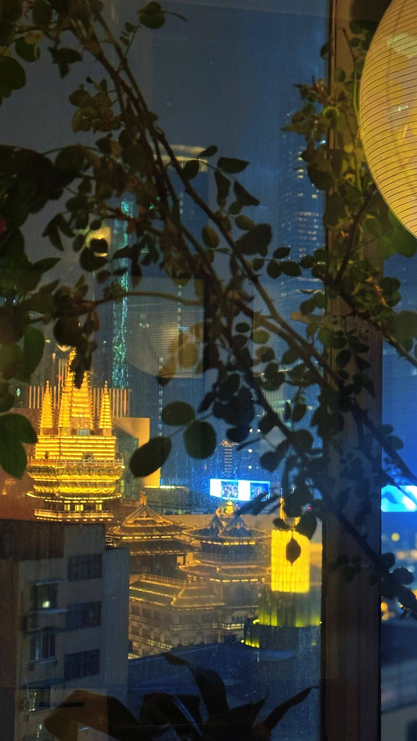 蹲室友啦🍃