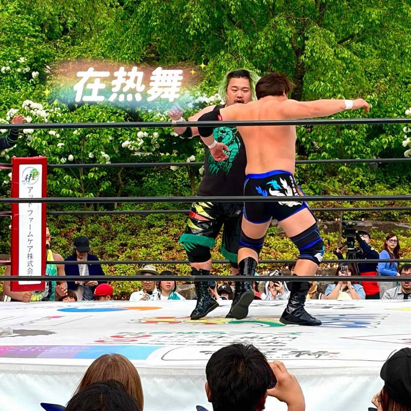 在寺庙看墨西哥摔跤是一种什么体验⁉️🤼_1