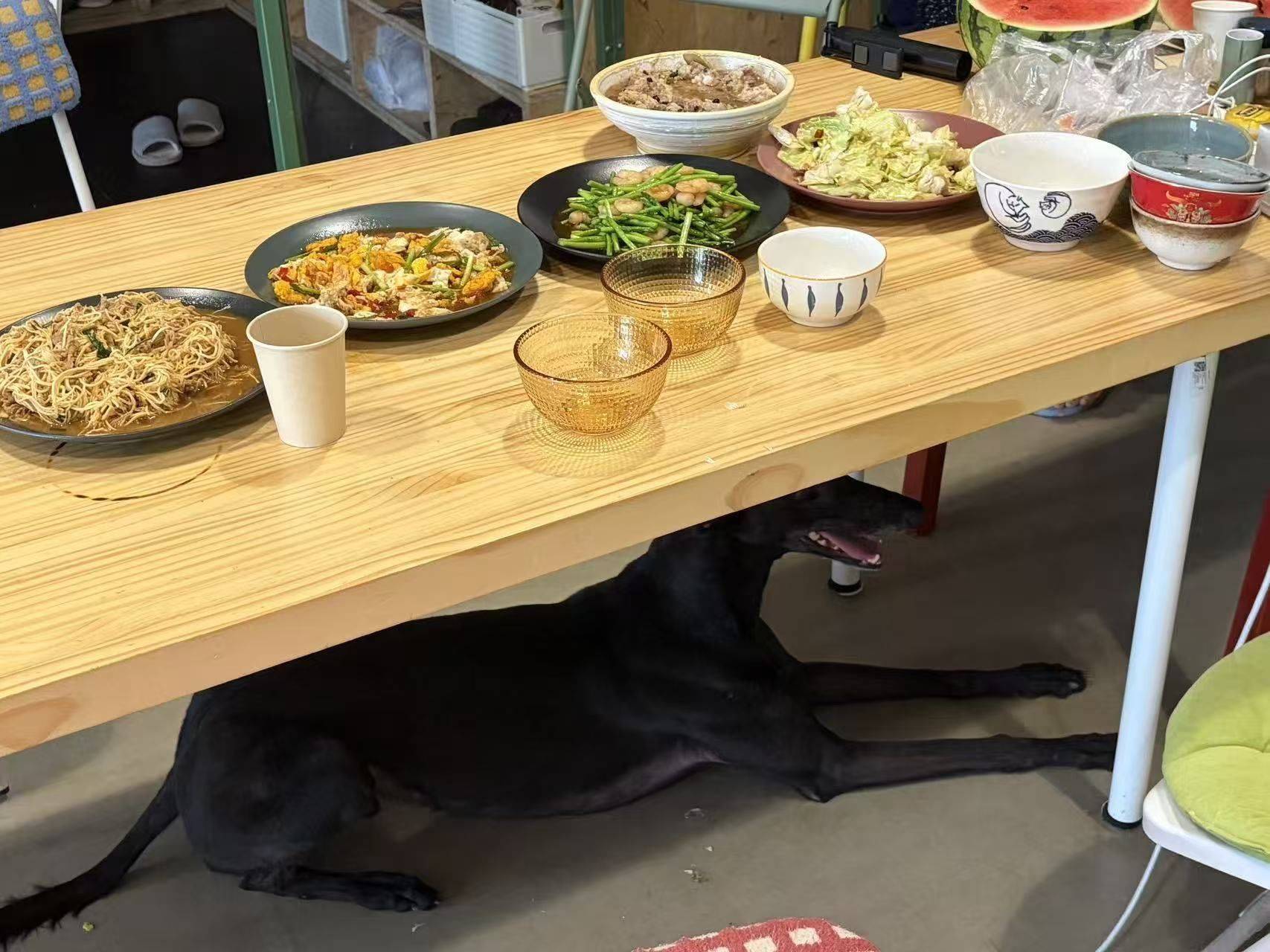 今天周六！室友做饭！要加入吗！_1
