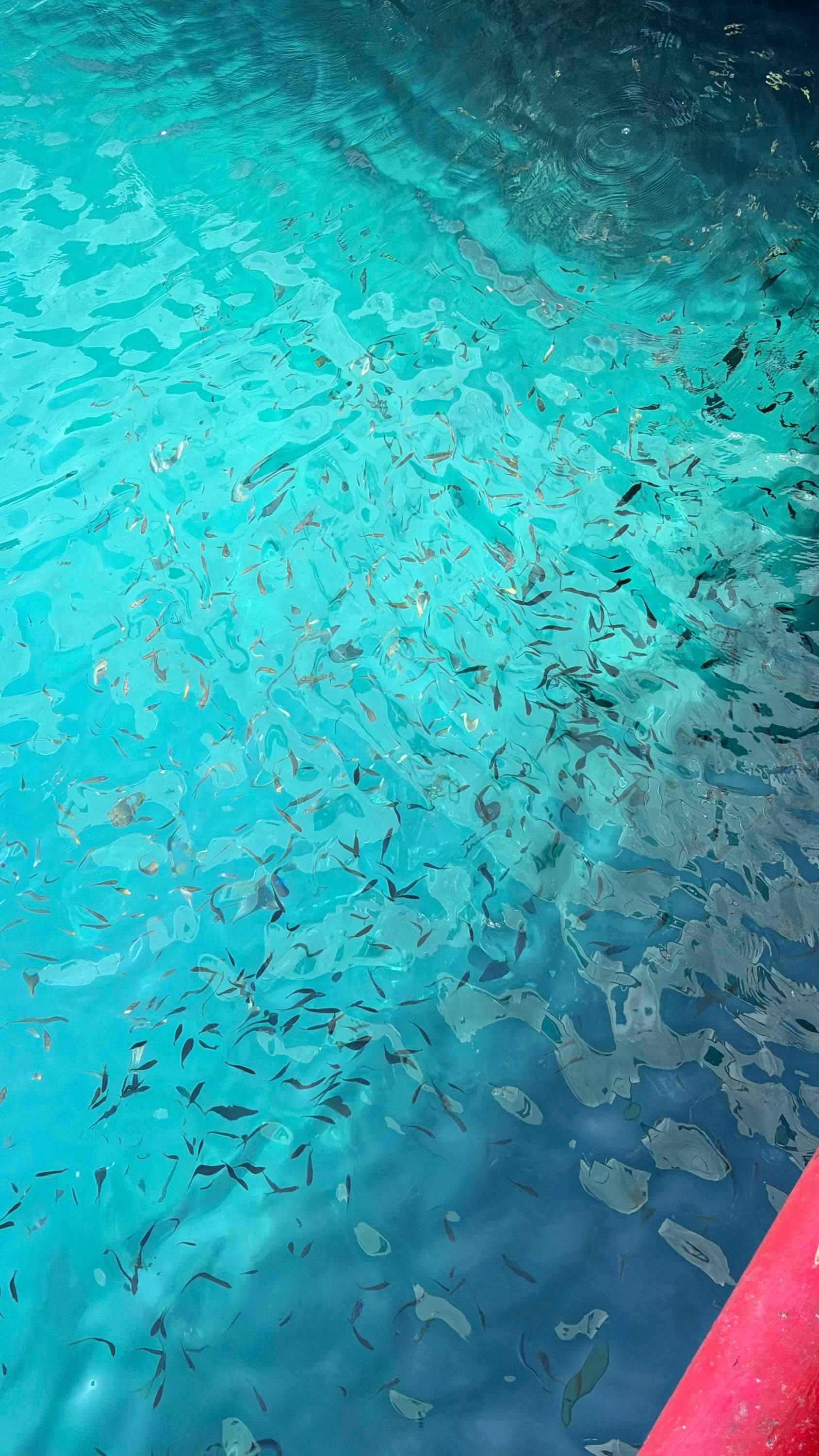 【上海求租合租】_2