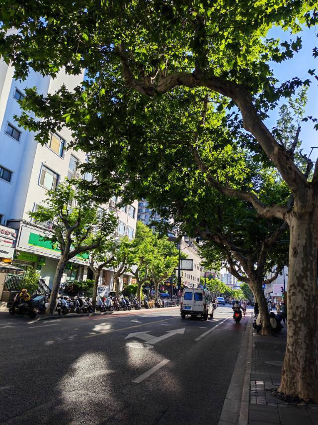 普陀丰庄站～祁连山南路站附近，求租房搭子_3