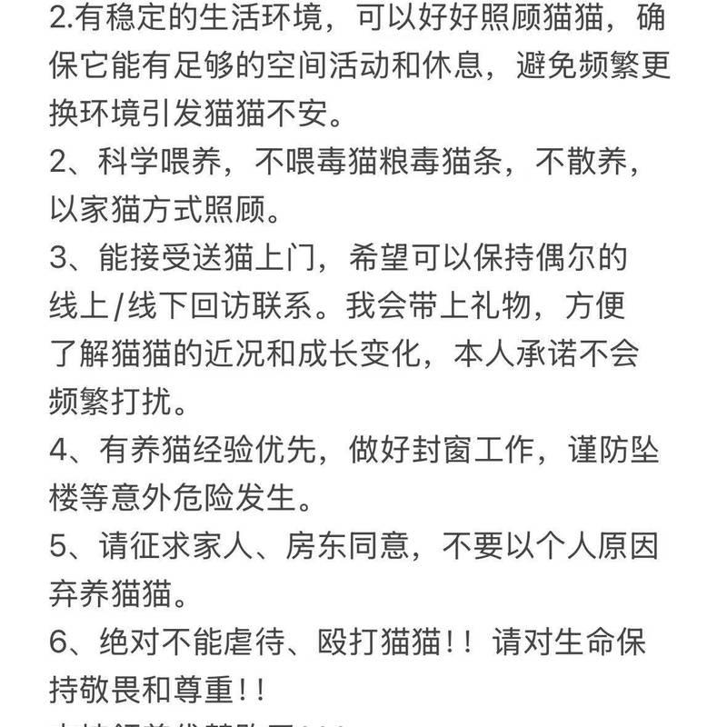 上海安亭美丽雀猫领养【已被领养】_4
