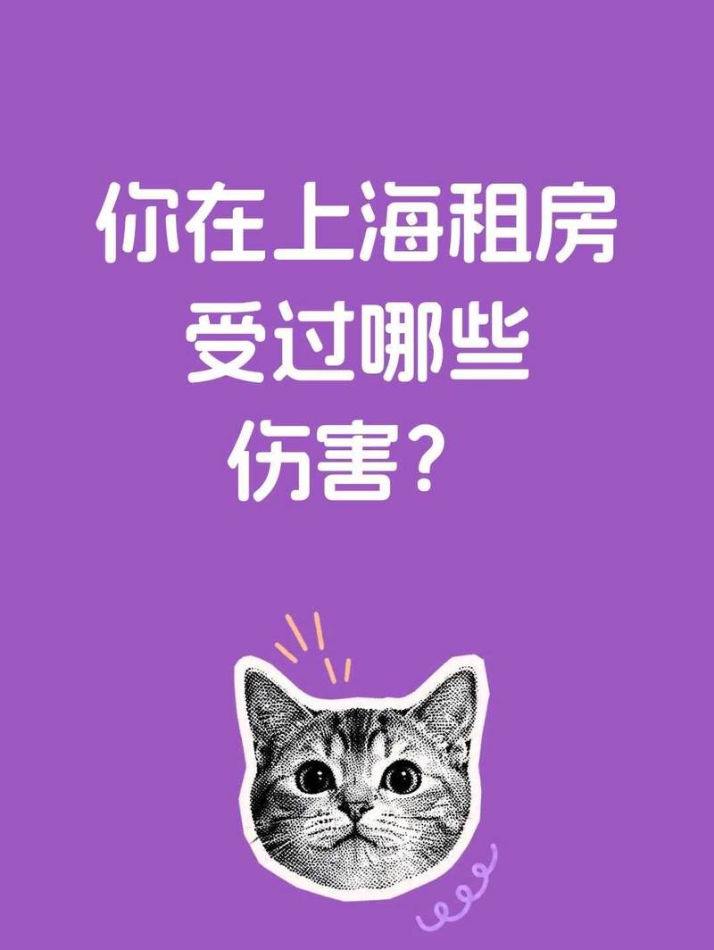 在上海租房没踩过坑,你都不好意思说待过