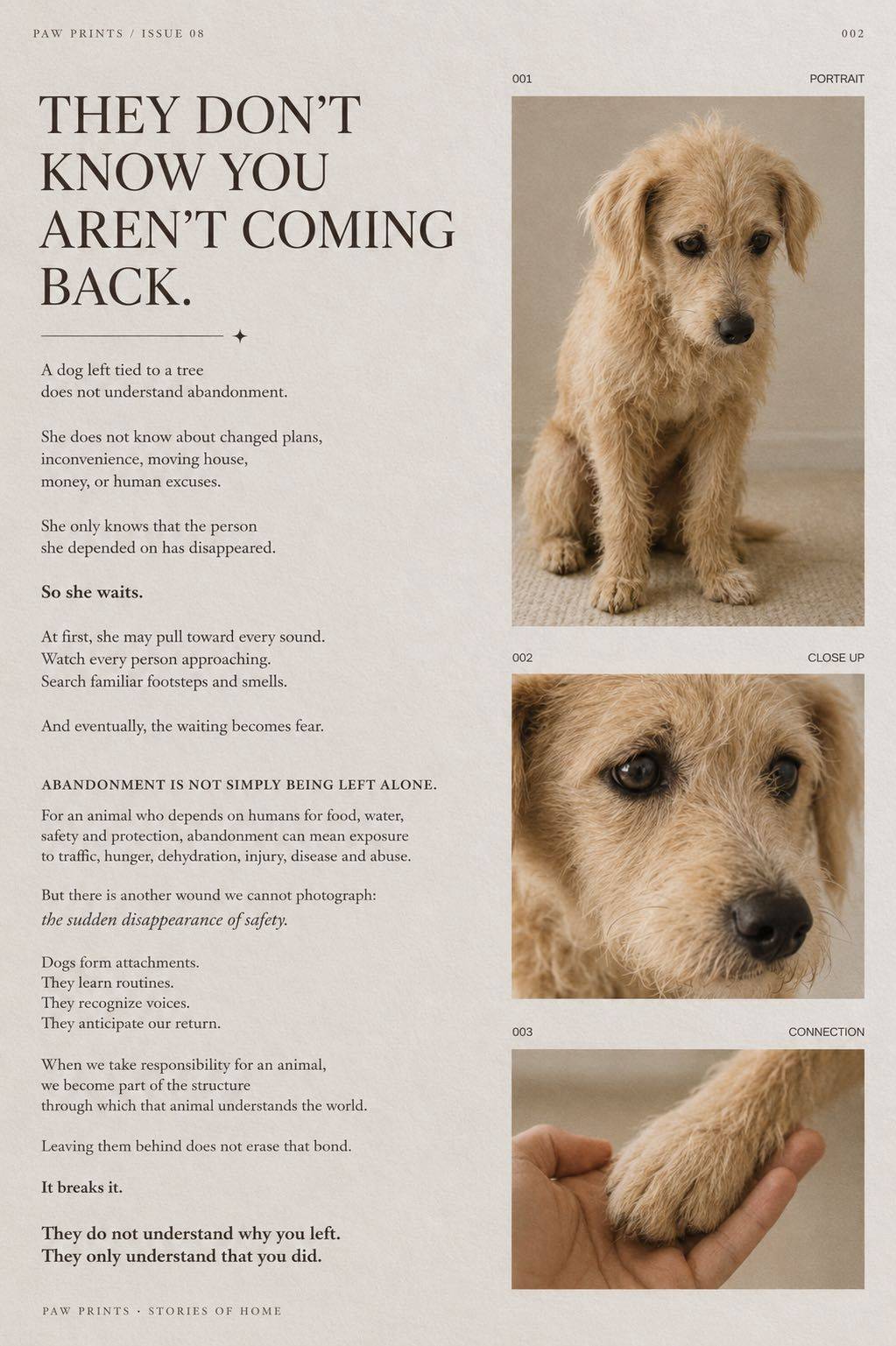 Looki g for loving home_2