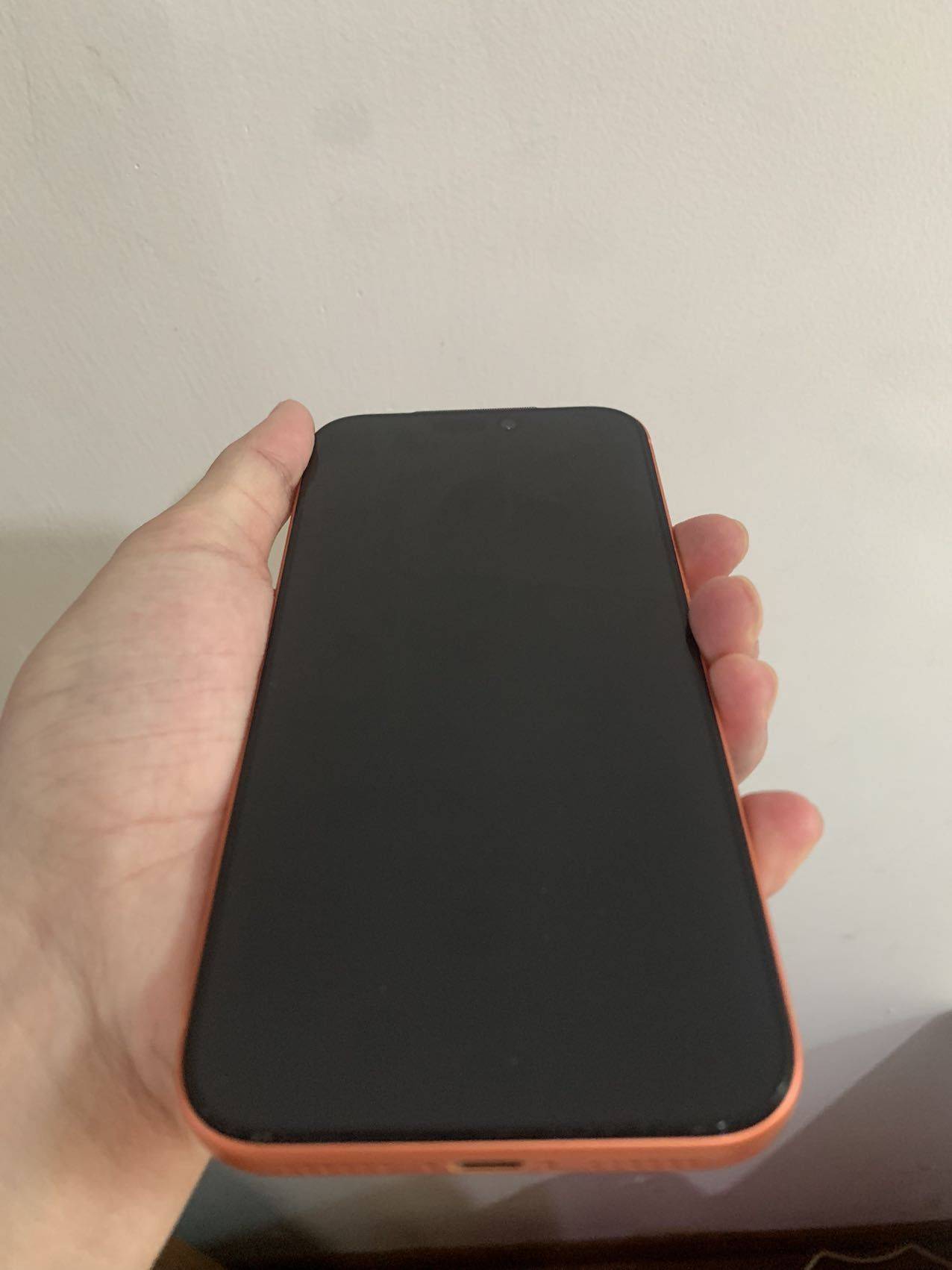 iPhone 17 Pro Max 25_2