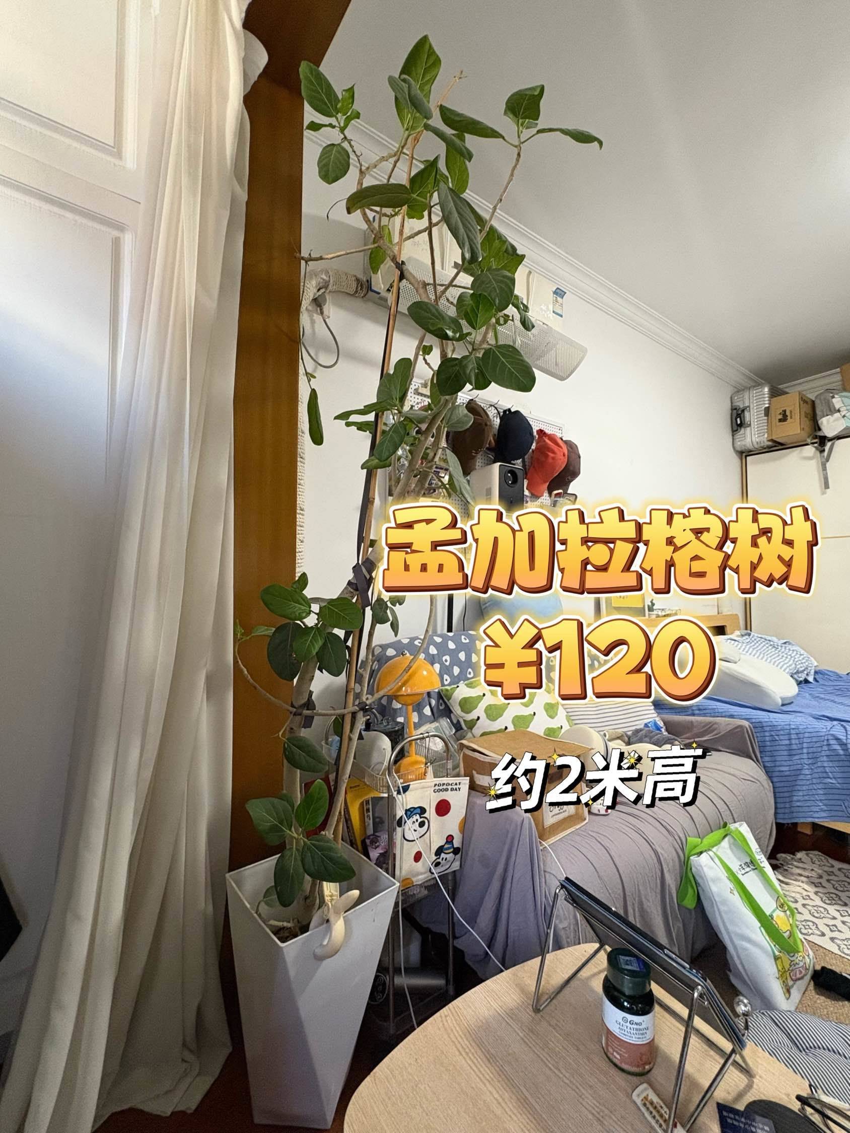 断舍离｜长宁搬家急出，自提快来！🏠💨_1