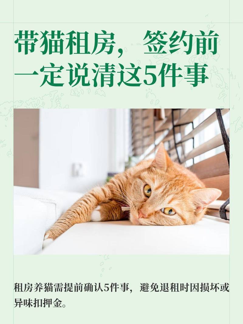 带猫租房,签约前一定说清这5件事
