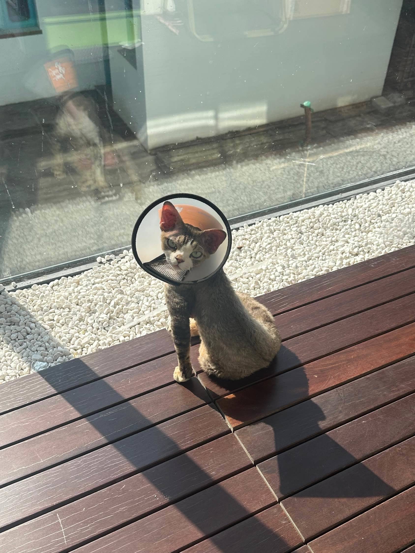 徐汇肇嘉浜路沿线求租_3