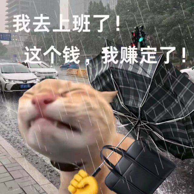 vwa蹲室友