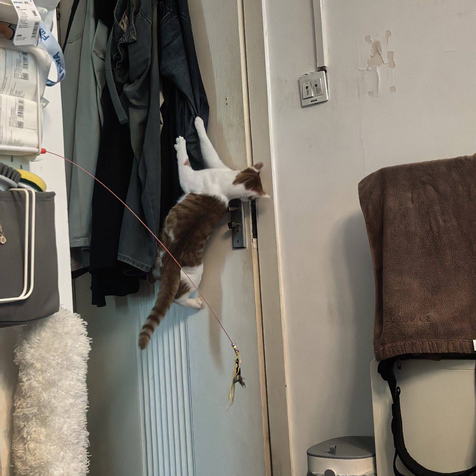 雷霆狗猫扩展地图中。。。_1