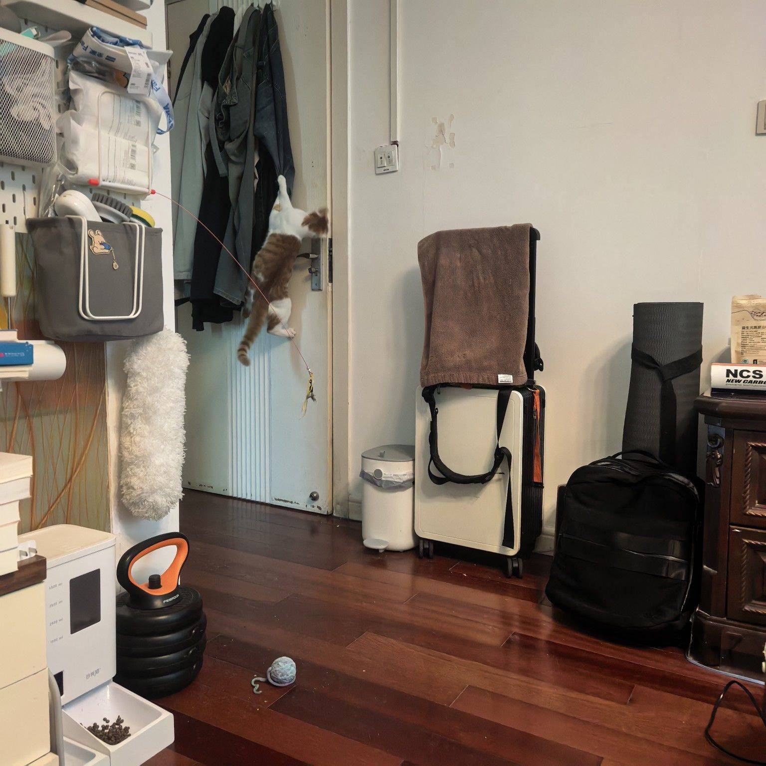雷霆狗猫扩展地图中。。。_2