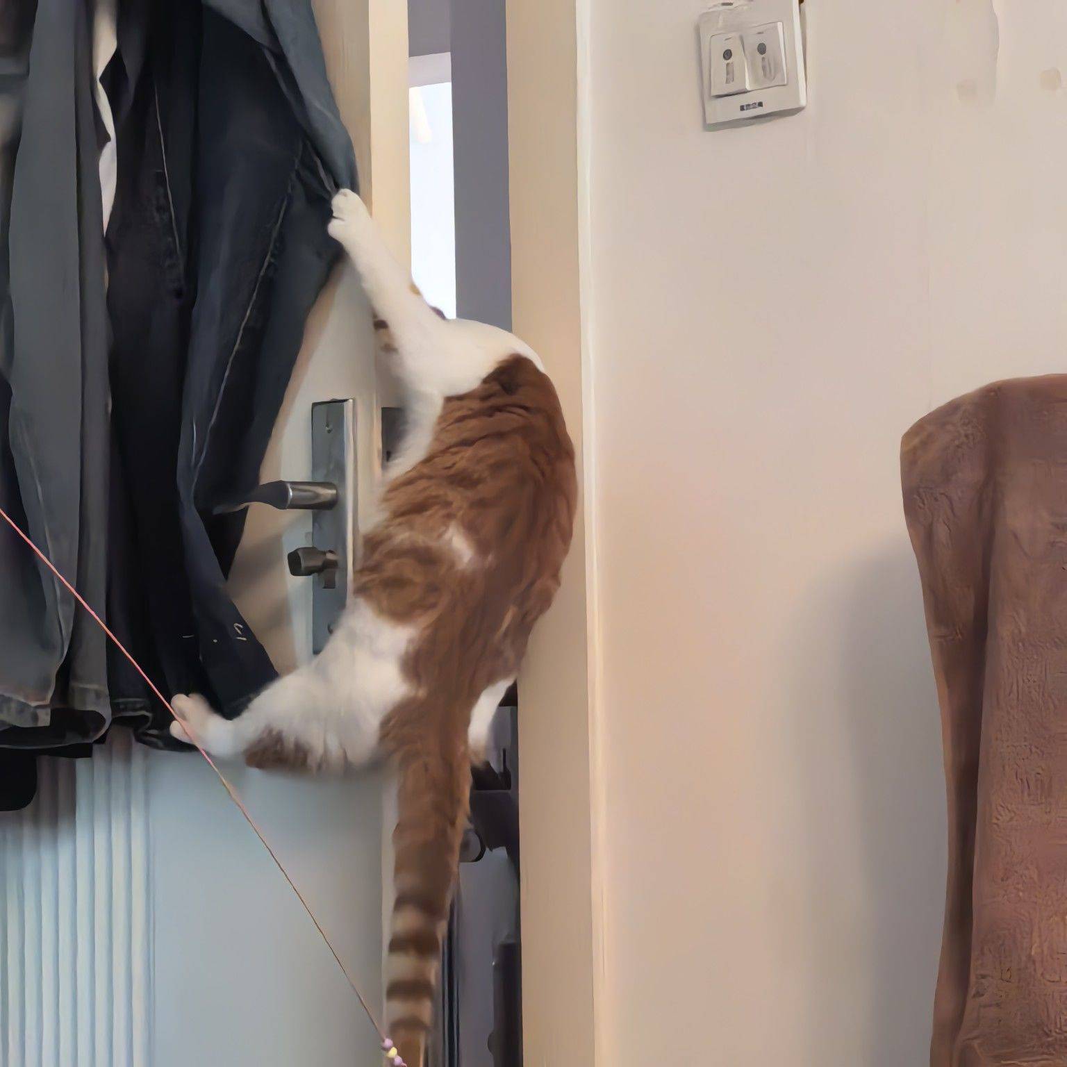 雷霆狗猫扩展地图中。。。
