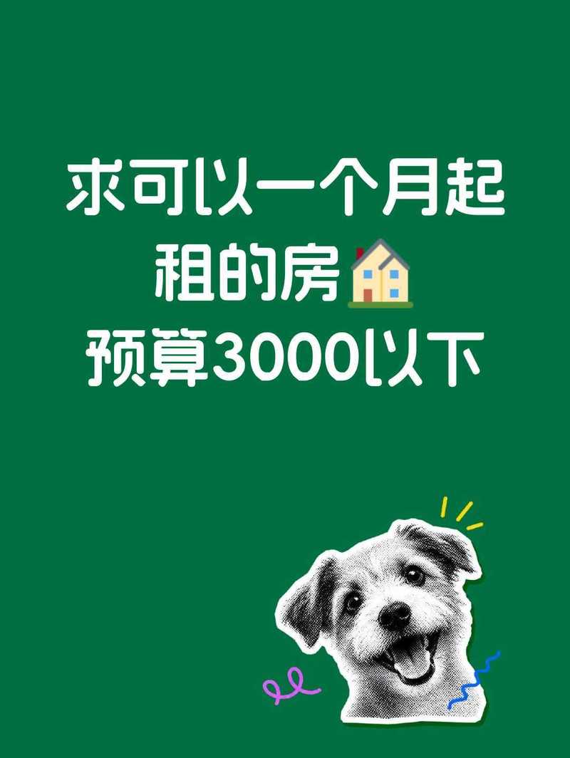 朝阳善良房东滴滴我