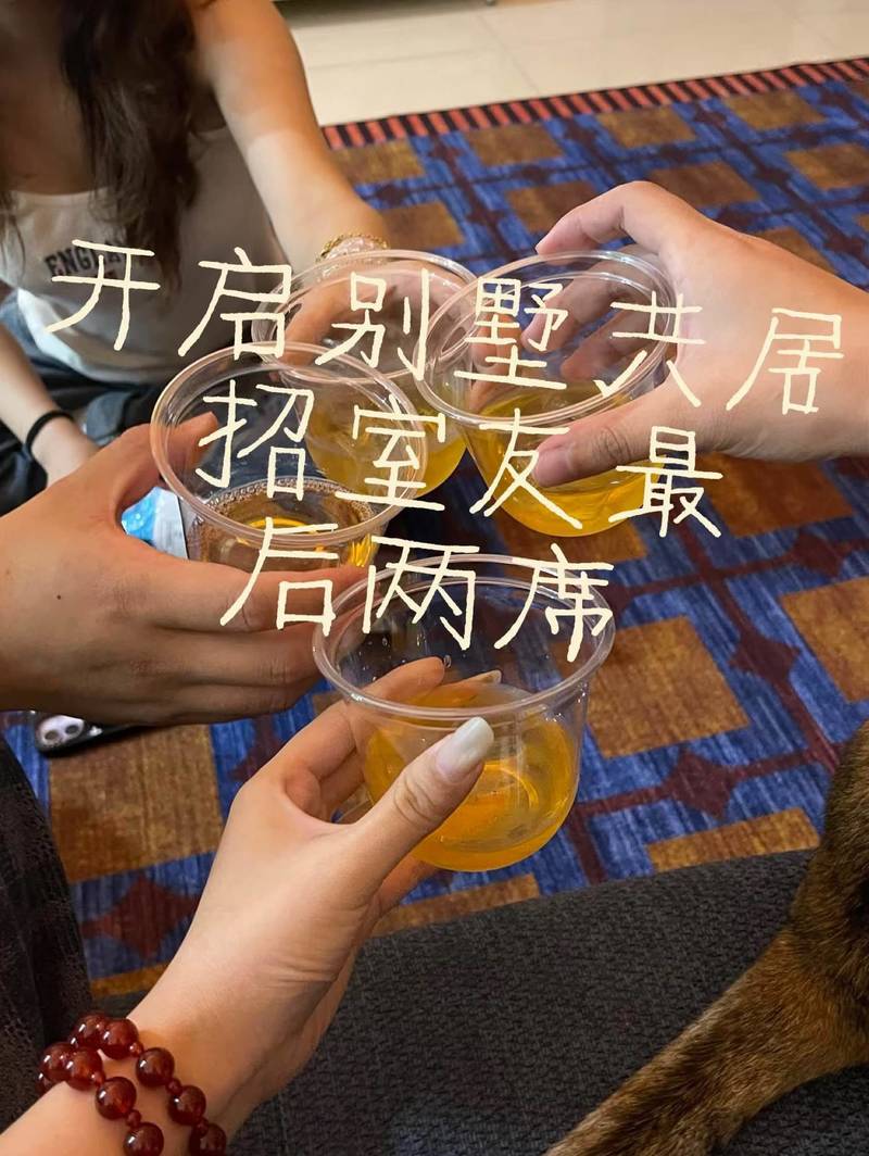 开启共居 别墅 下班后的时光~蹲蹲新室友
