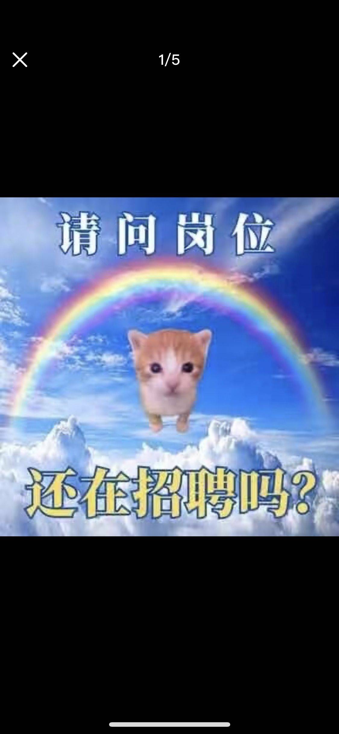 24小时已过半之拯救租房大兵瑞恩_1