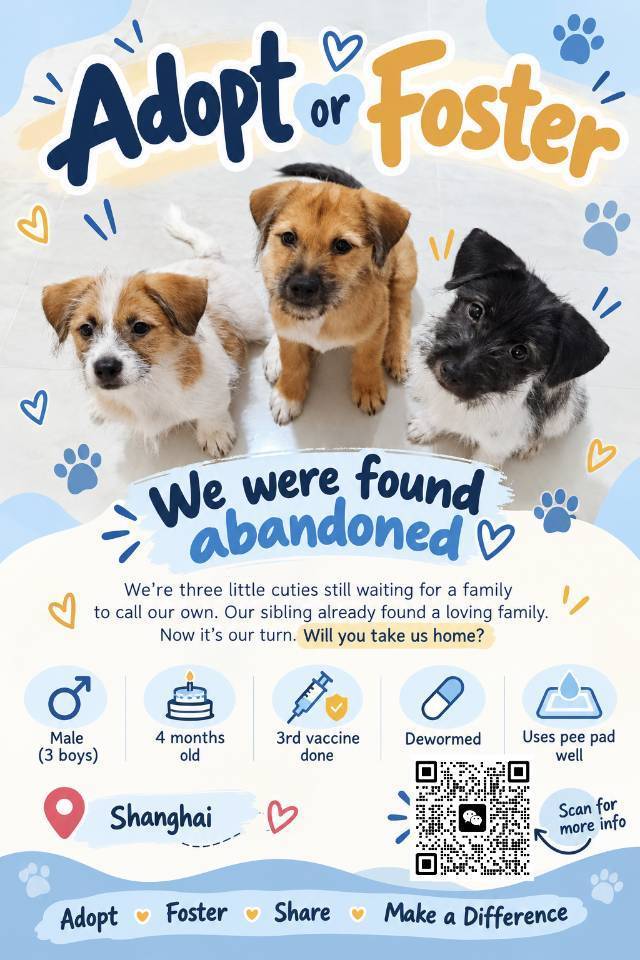 Adopt!